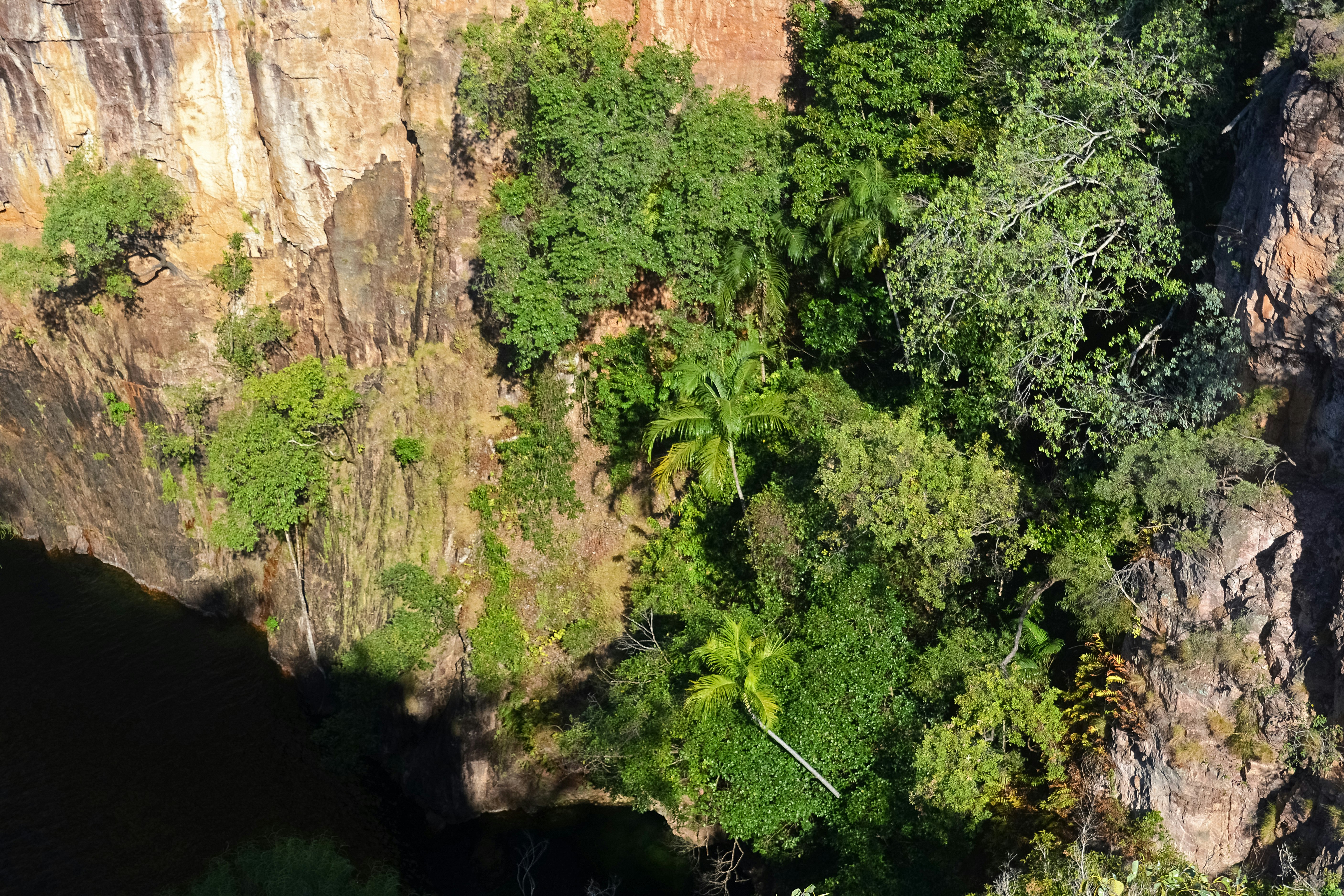 green trees beside brown mountain during daytime